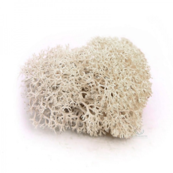 Purified Reindeer Natural 2,5 kg Norwegian